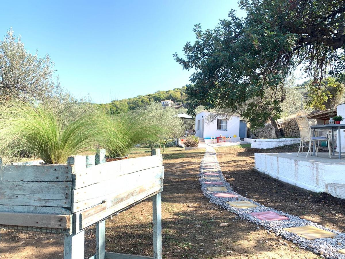 Olive Hill Private House Villa Poros Town Eksteriør billede